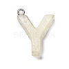 Luminous Resin Pendants X1-RESI-I059-Y02-2