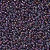 MIYUKI Round Rocailles Beads SEED-X0054-RR1013-3