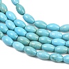 Natural Magnesite Beads Strands G-Z143-B01-01-4