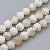 Natural Fire Crackle Agate Beads Strands G-S249-09-8mm-1