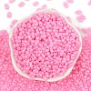 Baking Paint Glass Seed Beads SEED-L011-09A-27-3