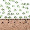 FGB Transparent Glass Seed Beads SEED-N013-01A-07-4
