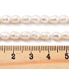 Natural Cultured Freshwater Pearl Beads Strands PEAR-P062-16B-X-5