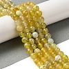Dyed & Heated Natural Fire Crackle Agate Beads Strands G-P539-B01-18-2