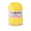 4-Ply Polyester & Acrylic Fiber Yarn for Tufting Gun Rugs PW-WG2A0C2-01-1-1