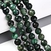 Natural Fuchsite Beads Strands G-S345-8mm-33-2