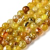 Dyed & Heated Natural Fire Crackle Agate Beads Strands G-P539-B01-13-1