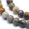 Natural Pietersite Beads Strands G-G823-05-6mm-3