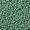 TOHO Round Seed Beads SEED-XTR08-PF0561-2