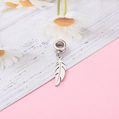304 Stainless Steel European Dangle Charms PALLOY-JF00624-01-1