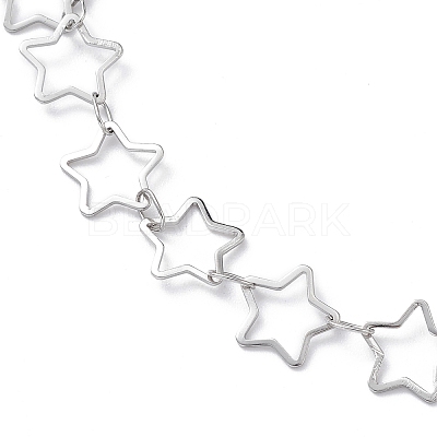 Non-Tarnish 304 Stainless Steel Star Link Chain Anklets for Men Women LS-STAS-B039-14P-1