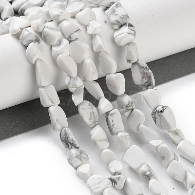 Natural Howlite Beads Strands G-P497-01C-64-1