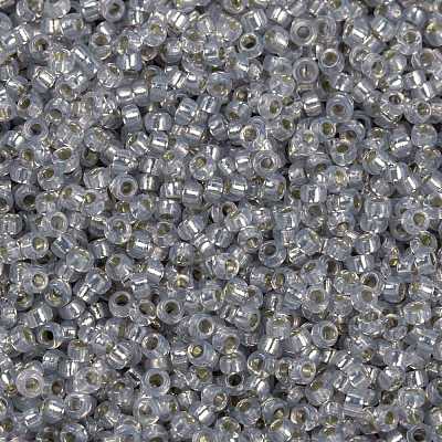 MIYUKI Round Rocailles Beads X-SEED-G009-RR0576-1