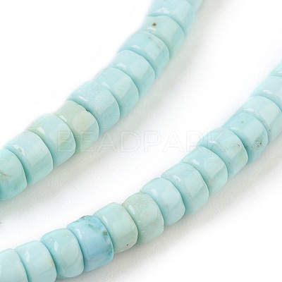 Natural Howlite Beads Strands X-G-P398-F-1