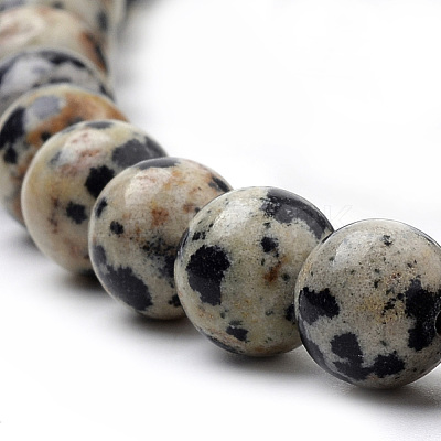 Natural Dalmatian Jasper Beads Strands X-G-S259-24-6mm-1