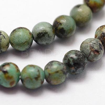 Natural African Turquoise(Jasper) Beads Strands G-N0188-02-3mm-1