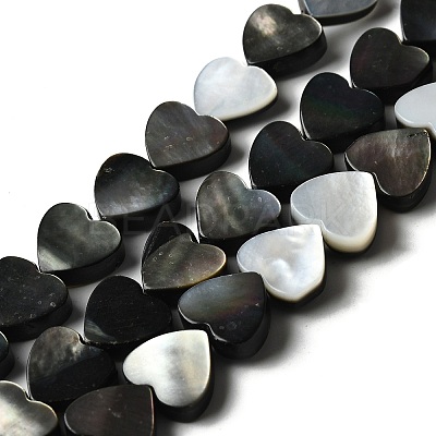 Natural Black Lip Shell Beads Strands BSHE-D300-06B-1