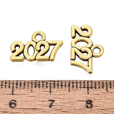 New Year's Day Tibetan Style Alloy Charms FIND-N014-01AG-1