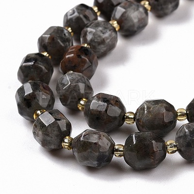 Natural Fluorescent Syenite Rock(Glow under UV Light) Beads Strands G-G990-F01-1