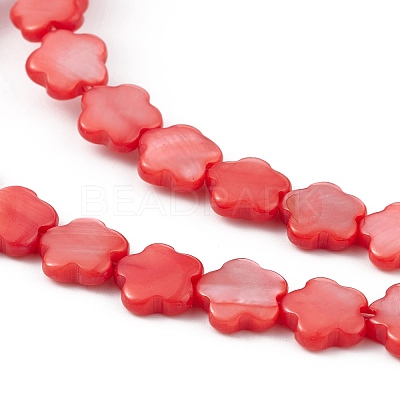 Natural Freshwater Shell Dyed Beads Strands SHEL-K001-001B-1