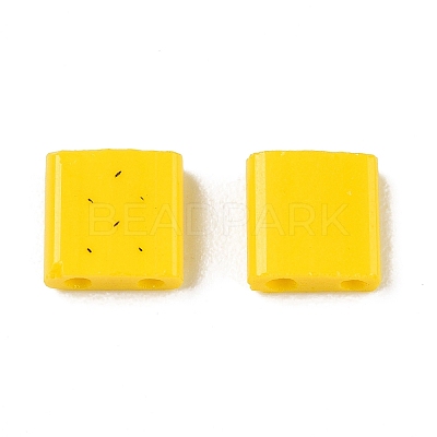 2-Hole Baking Paint Glass Seed Beads SEED-S023-17C-06-1