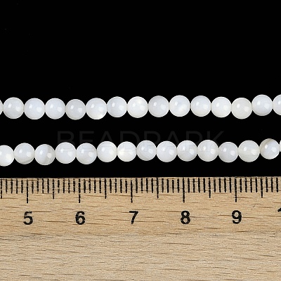 Natural Cultured Freshwater Shell Beads Strands BSHE-H109-03B-1
