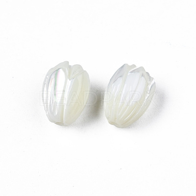 Natural Trochid Shell/Trochus Shell Beads SSHEL-T014-33-1