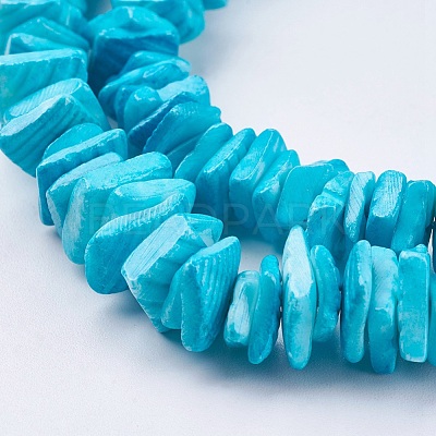 Natural Sea Shell Beads Strands X-BSHE-K012-08C-1