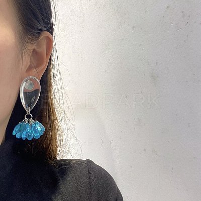 Alloy Resin Stud Dangle Earrings WGC5587-02-1