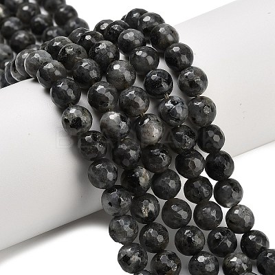 Natural Larvikite Beads Strands G-C280-B06-8mm-1