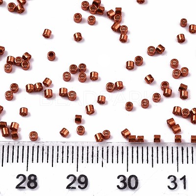 FGB 11/0 Grade A Glass Seed Beads X-SEED-S030-1210-1