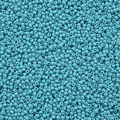 11/0 FGB Grade A Baking Paint Glass Seed Beads X-SEED-N001-A-1016-1