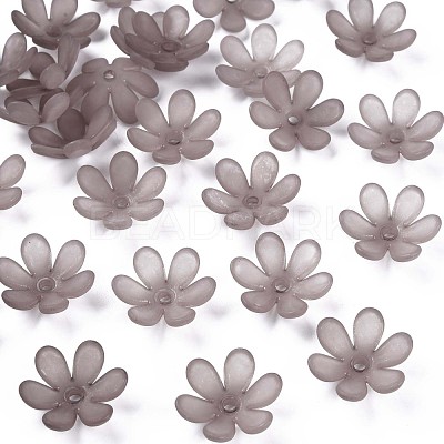 Transparent Acrylic Beads MACR-S373-107-D02-1