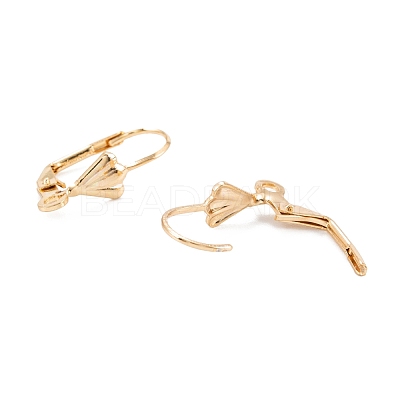 304 Stainless Steel Leverback Earring Findings STAS-K218-08G-1