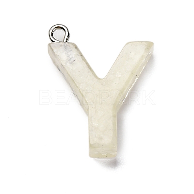 Luminous Resin Pendants X1-RESI-I059-Y02-1