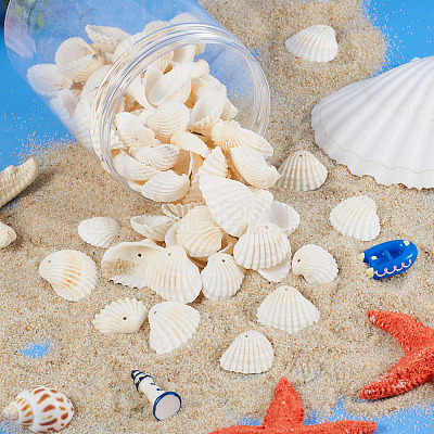 Shell Pendants SSHEL-TA0001-03-1