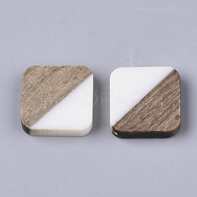 Resin & Walnut Wood Cabochons RESI-S358-A-90G-1