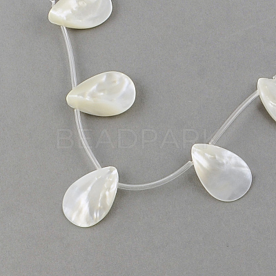 Natural Sea Shell Beads Strands X-SSHEL-Q296-01-1