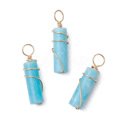 20Pcs Dyed Synthetic Imperial Jasper Copper Wire Wrapped Pendants PALLOY-JF03457-02-S-1
