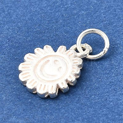 925 Sterling Silver Charms STER-Q003-01A-S-1