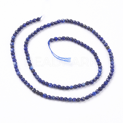 Natural Lapis Lazuli Beads Strands X-G-K020-3mm-23-1