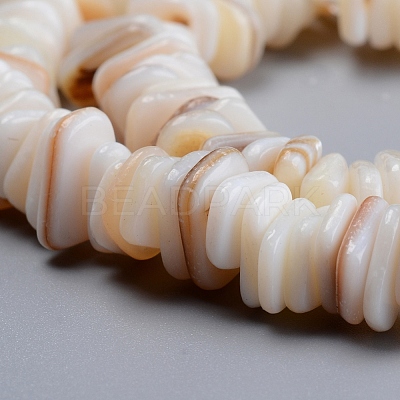 Natural Freshwater Shell Beads Strands SHEL-D078-01B-1