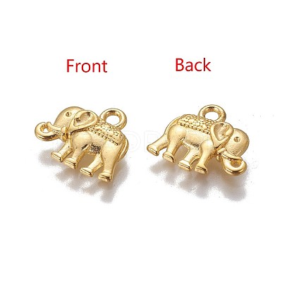 Tibetan Style Alloy Charms X-PALLOY-P220-01G-NR-1