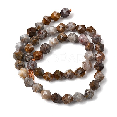 Natural Gobi Agate Beads Strands G-Z119-A36-02-1