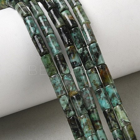 Natural African Turquoise(Jasper) Beads Strands G-B091-A25-01-1
