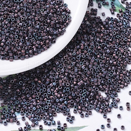 MIYUKI Delica Beads X-SEED-J020-DB0312-1