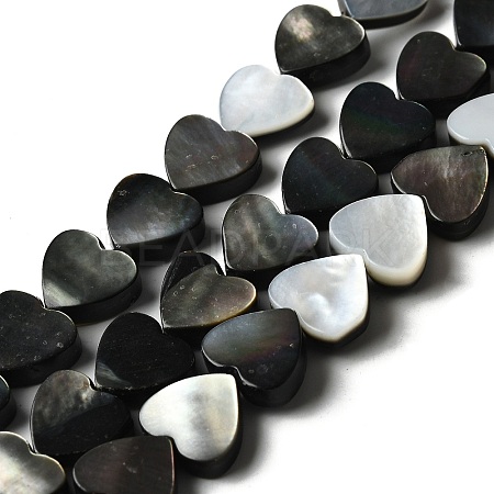 Natural Black Lip Shell Beads Strands BSHE-D300-06B-1