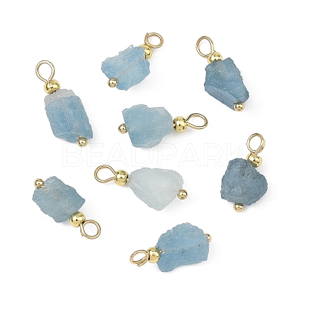 Raw Rough Natural Aquamarine Pendants PALLOY-JF05873-1