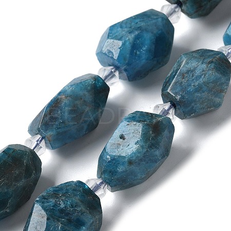 Natural Apatite Beads Strands G-H095-A04-01-1
