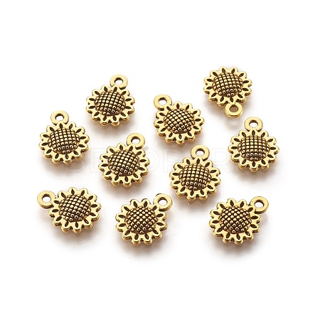 Tibetan Style Alloy Charms X1-GLF10257Y-NF-1